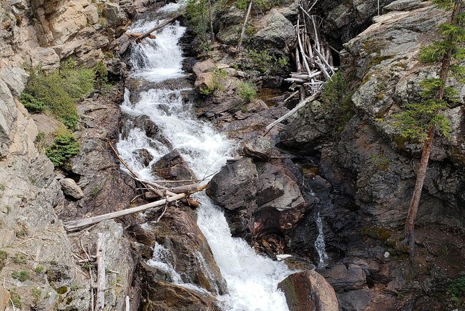 Private and Personalized Three Hour Morning Tour of Rocky Mountain National Park - Wildlife and Scenic Highlights