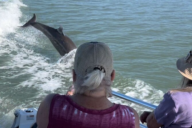 Private Best of Marco Island Dolphin Tour - Accessibility Features