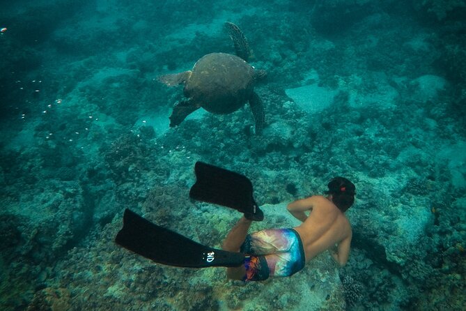 Private Boat Cruise of Waikiki! Snorkel, Sightseeing, Sea Life! - Whats Included in Your Experience