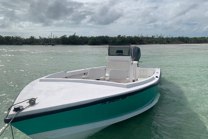 Private Boat Tour to Sand Bar Snorkel Dolphins and Sunset - Tour Schedule and Availability