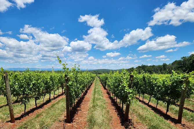 Private Charlottesville Area Wine Tour - Customer Testimonials