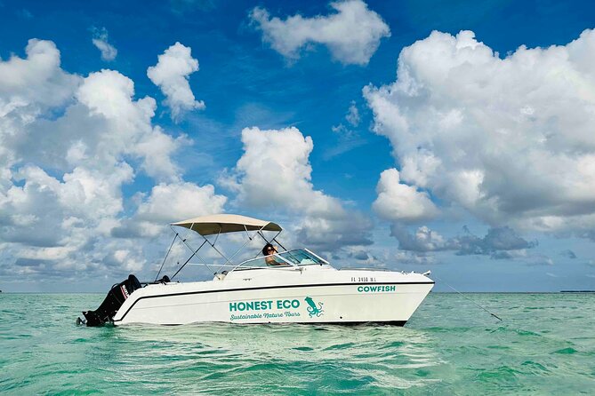 Private Charter 6 Passenger Sandbar, Snorkel, Dolphins - Meeting and Pickup Information