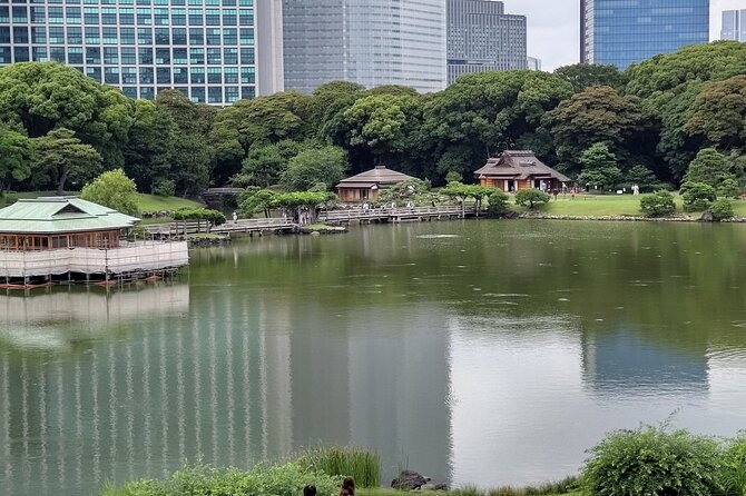 Private Chartered-Taxi Tokyo Tour With Certified Japanese Guide - About the Certified Japanese Guide