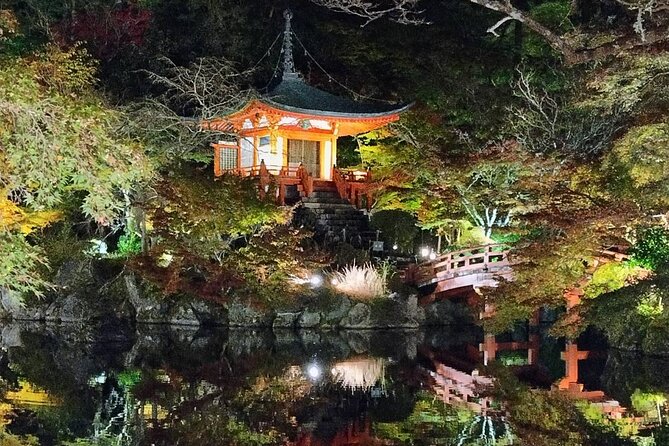 Private Customized Walking in Tour Kyoto - Operating Hours