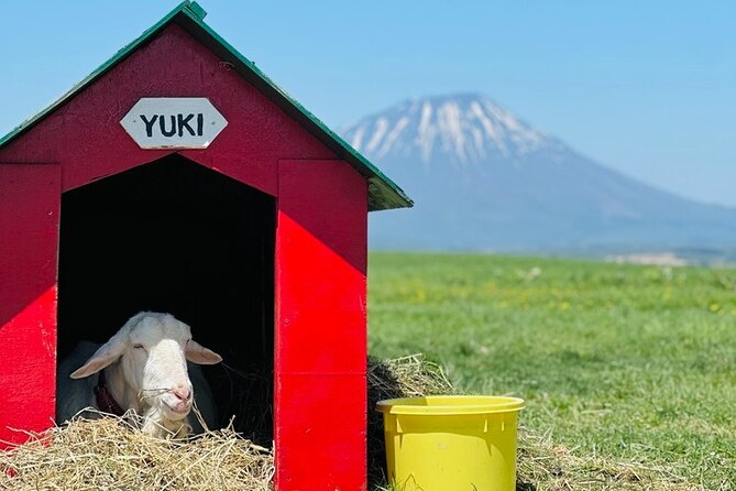 Private Day Tour to Hokkaido Noboribetsu and Lake Toya by Car - Visiting Noboribetsu