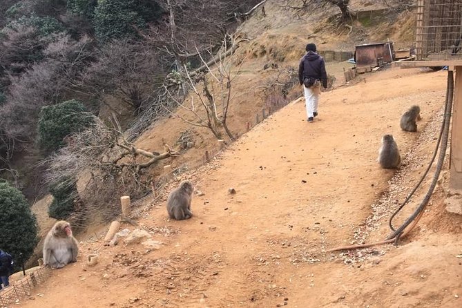 Private Full-Day Guided Tour in Kyoto, Arashiyama - Meeting and Pickup Details
