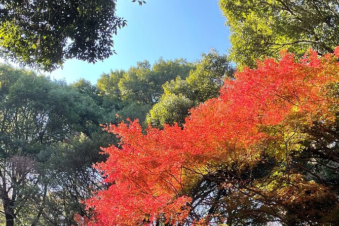 Private Guided Trivia Quest Tour at Harajuku Meiji-jingu - Duration and Highlights