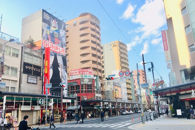 Private Half-Day Guided Tour of Osaka Minami - Tour Participation