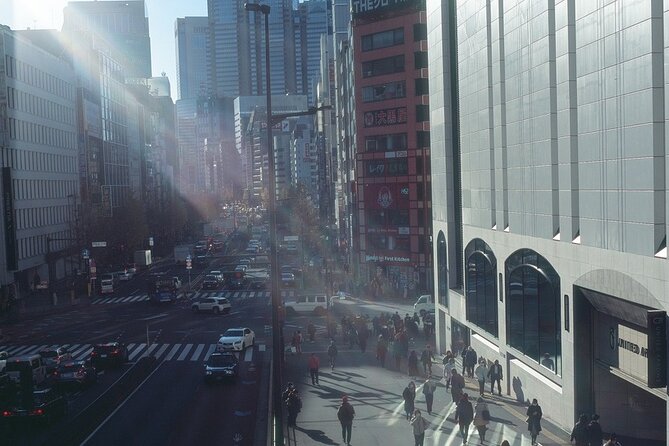 Private Half Day Guided Walking Tour of Shinjuku - Tour Inclusions and Restrictions