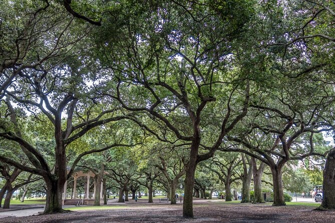 Private Historic Horse & Carriage Tour of Charleston - Private Carriage Experience