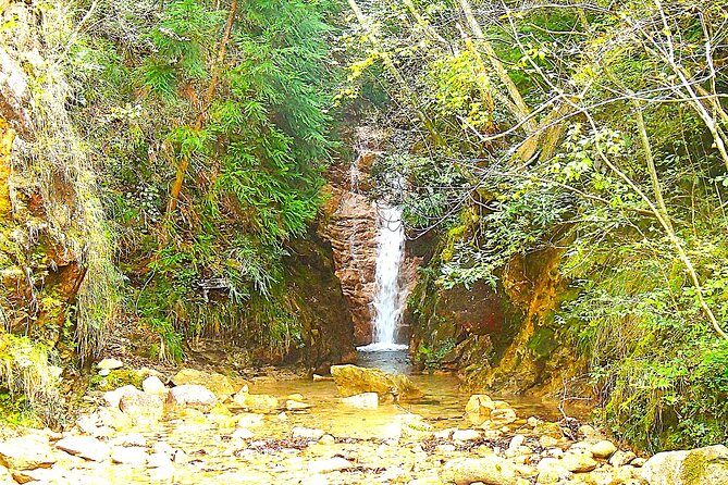 Private Historic Road Hike in the Healing Forest of Arima - Meeting and Pickup for the Tour