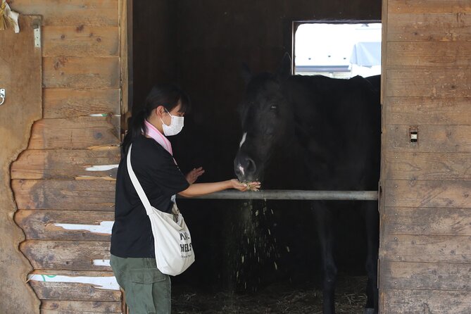 Private Horse Interaction & Sakura Experience Near Mt. Fuji - Accessibility and Participation