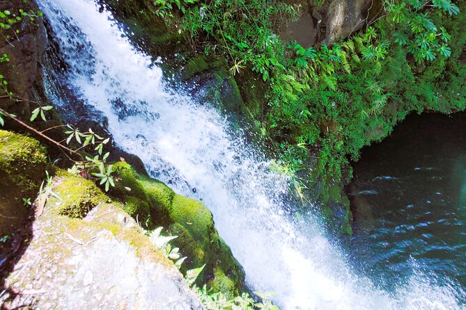 Private Jungle Waterfall Adventure, Wit Da Native Hawaiian Dundee - Exploring Kauais Backcountry Landscapes