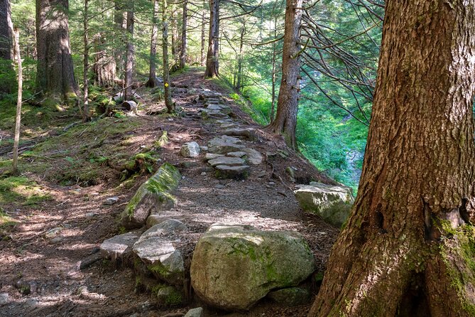 Private Ketchikan Mountain Lake Extended Trek to Alpine Overlook - Meeting and Pickup Details