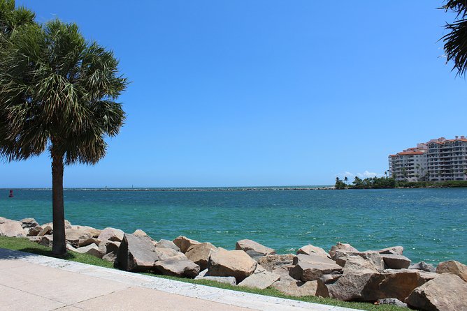 Private Miami City Tour With Expert Guide - Pickup and Meeting Information