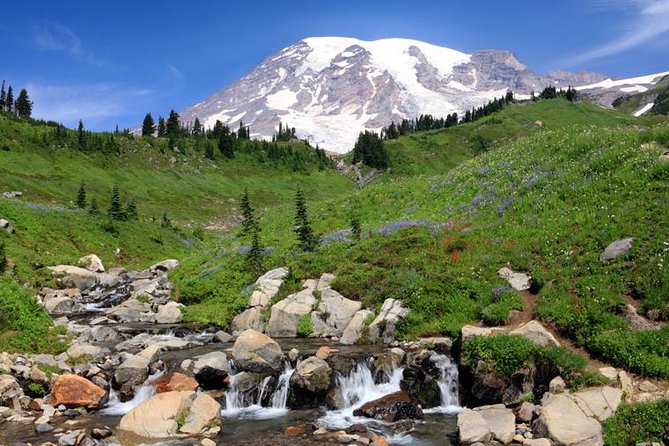 Private Mt Rainier National Park Day Trip From Seattle - Longmire Museum
