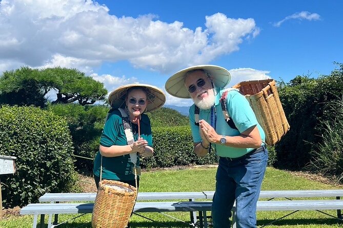 Private Shizuoka Tour From Shizuoka Station / Sedan Taxi - Accessibility and Requirements