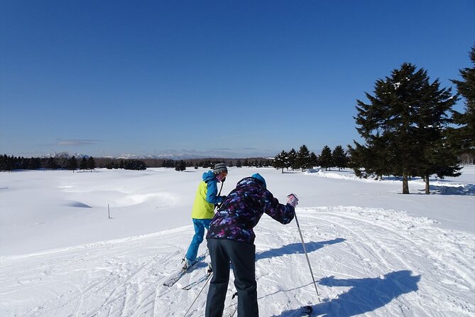Private Ski Lesson for Beginners in Chitose - Booking Information