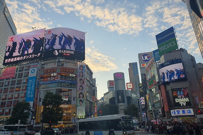 Private Tailored Tour With Local Guide in Tokyo - Tour Schedule