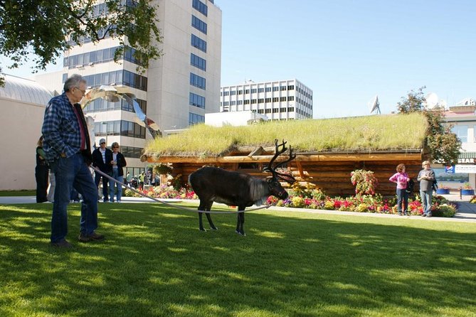 Private Tour: Anchorage 3-Hour Tour - Convenience and Flexibility of the Tour