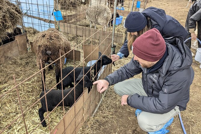 Private Tour Meet the Sheep of Aso and Pick Aso Strawberries - Accessibility