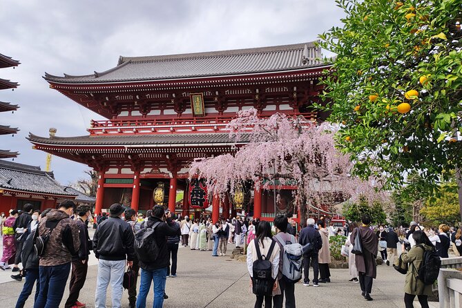 Private Tour of the Secret Corners of Tokyo - Experiencing Traditional Japanese Cuisine
