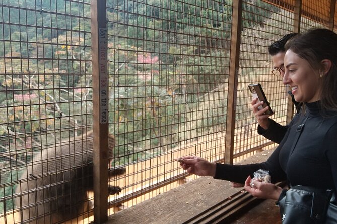 Private Tour to Arashiyama Monkey Park and Arashiyama Highlights - Exploring Tenryuji Temple