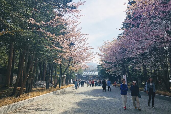 Private Transfer New Chitose Airport to Hokkaido Attractions - Pickup and Drop-off