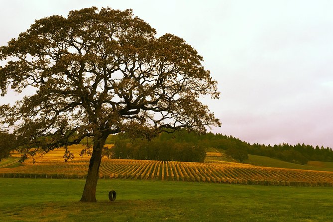 Private - Willamette Valley Wine Tour From Portland (Tasting Fees Included) - Tour Experience and Highlights