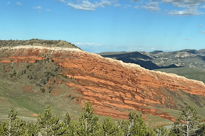 Private Yellowstone Wildlife and Photo Tour's Upper Loop Cody Wy - Guest Experiences and Guide Performance