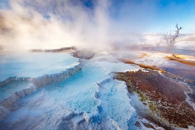 Private Yellowstone Winter Wolf Watching and Wildlife Safari - A Private Guided Tour for an Unforgettable Adventure