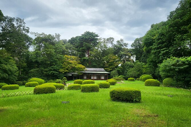 Private Yokohama and Tokyo City Car Tour - Navigating Yokohama and Tokyo With Ease