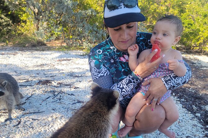 Raccoon Island Exploration on Sup/Kayak - Encountering Friendly Raccoons