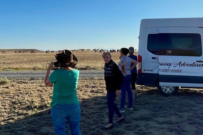 Red Canyon Small Group Wild Mustang Van Tours in Cody Wyoming - Meeting Point and Tour Logistics