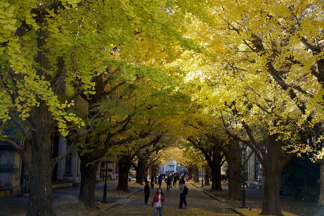 Red, Yellow and Brown - Visit Autumn Leaves Spots in Tokyo - Participant Information