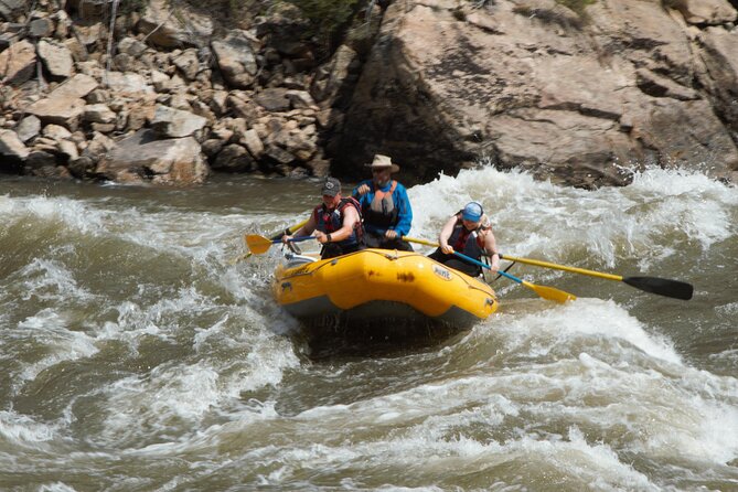 River Whitewater Rafting Day Trip in Salmon - Experience Level and Requirements
