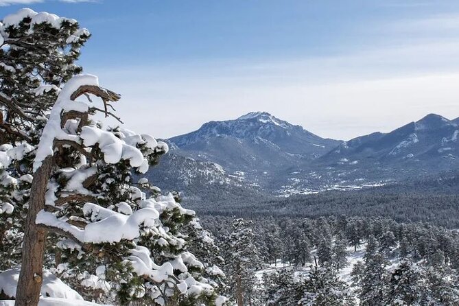 Rocky Mountain National Park Tour - Hidden Valley Sledding Tour - Pricing and Cancellation