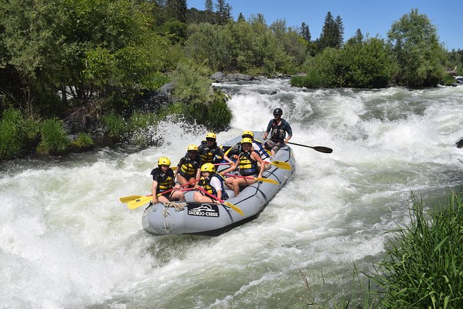 Rogue Valley Rapid Run - Customer Reviews and Highlights