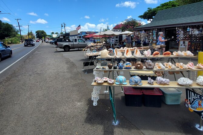 Round Trip North Shore Shuttle From Waikiki to Haleiwa Town / Haleiwa Harbor - Accessibility and Health Guidelines