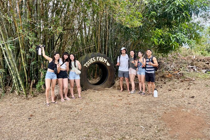 Roundtrip Shuttle From Waikiki to Dole Plantation & Haleiwa Town - Attractions and Experiences in Haleiwa Town