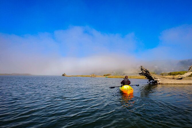 Russian River Kayak Tour at the Beautiful Sonoma Coast - Meeting and Logistics