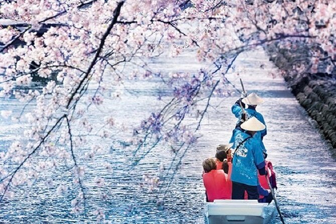 Sakura 1 Day Tour With Charter Train and Boat From Nagoya - Cancellation Policy