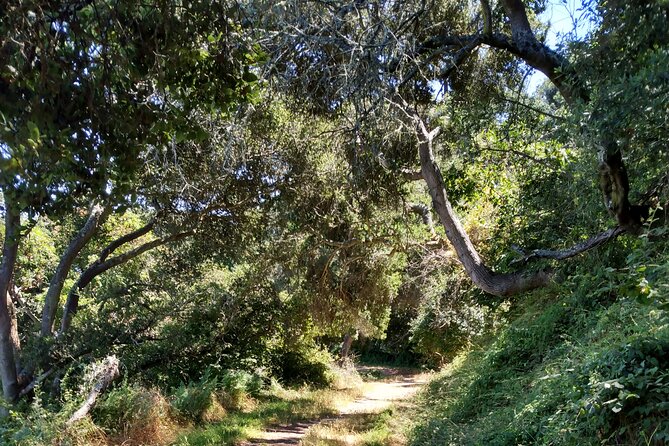 San Francisco E-bike Tour on Scenic Trails - Health and Fitness Requirements
