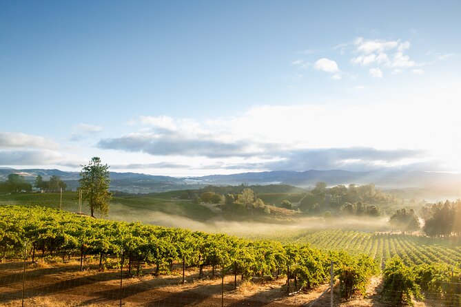 San Francisco: Full Day Coastal Redwoods & Wine Country Tour - Exploring Armstrong Woods