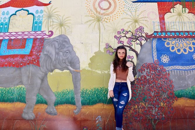 San Francisco Instagram Walking Private Tour: Most Iconic Spots - Snap Pictures at the Painted Ladies
