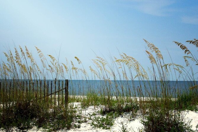 Scenic A1A Byway Self Guided Driving Audio Tour - Travel Experience