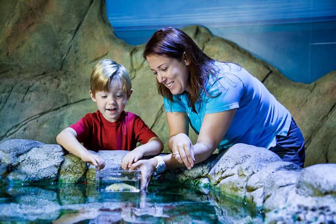 SEA LIFE San Antonio Admission Ticket - Visitor Experience and Duration
