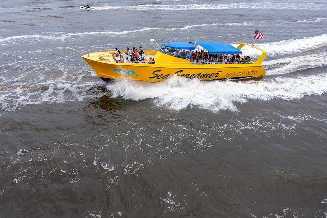 Sea Screamer Cruise - 2 Hour Dolphin Watch Tour in South Carolina - Amenities and Inclusions