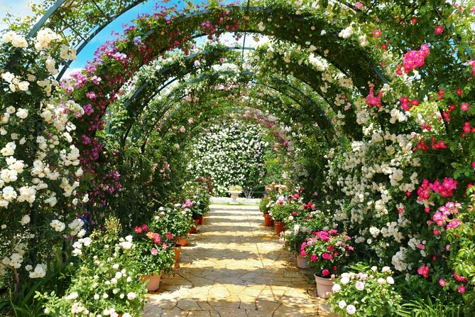 Seasonal Colors at Ashikaga Flower Park From Karuizawa - Accessibility