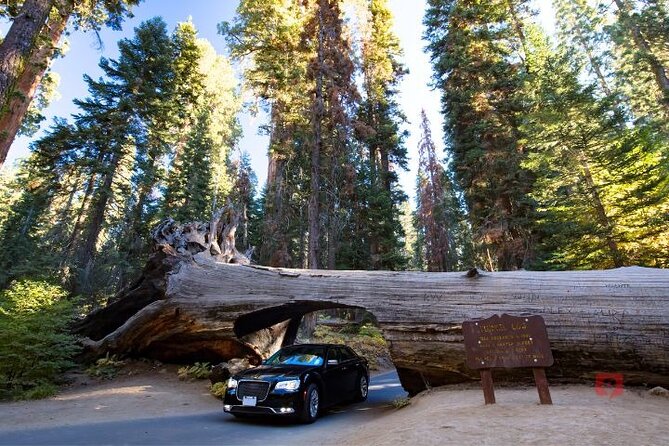 Self-Guided Audio Driving Tour in Sequoia and Kings Canyon - Meeting and Ending Points